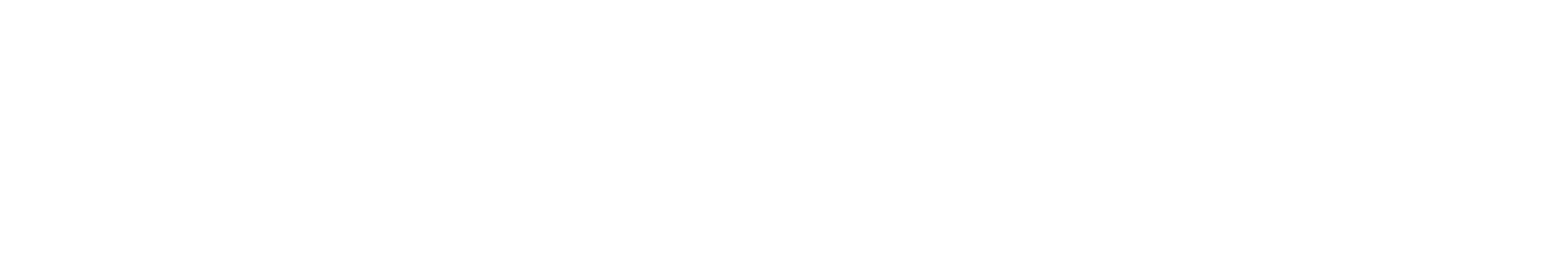 Dynamo
